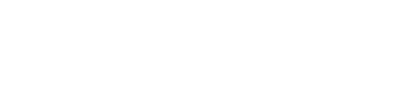 审计监察人员联盟