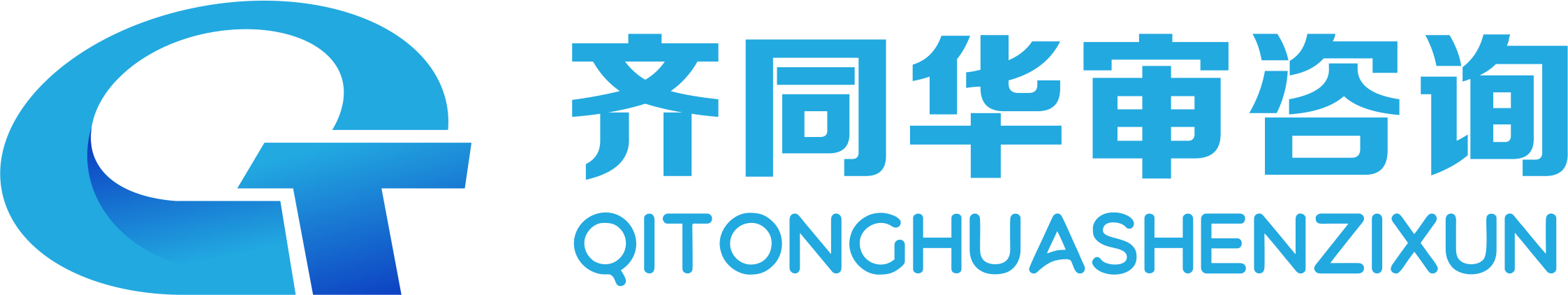 齐同华审咨询