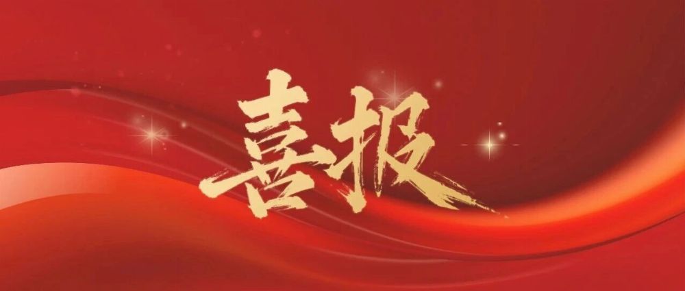 官宣！齐同华审咨询正式加入中国内部审计协会，共筑反舞弊合规新生态