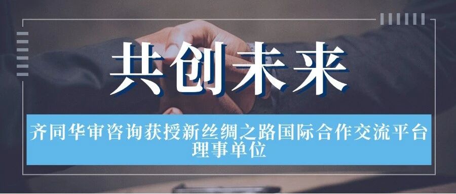 省级理事单位+1！齐同华审咨询全流程反舞弊服务链接"一带一路"国家